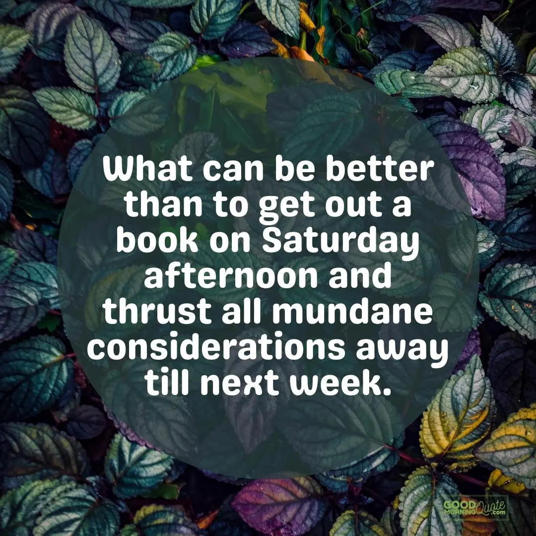 what can be better saturday quote