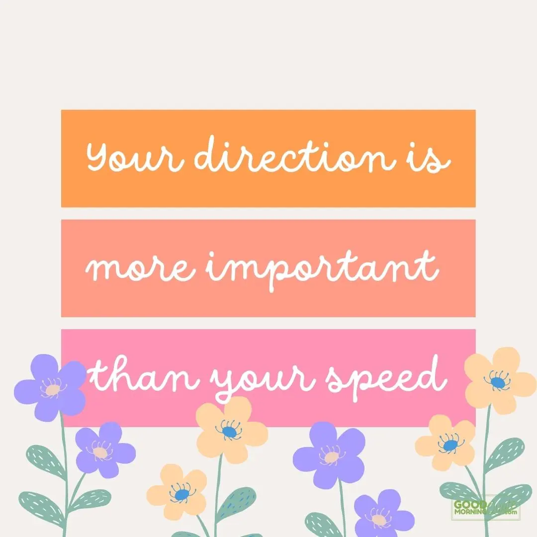 your direction is more important than your speed happy wednesday quotes