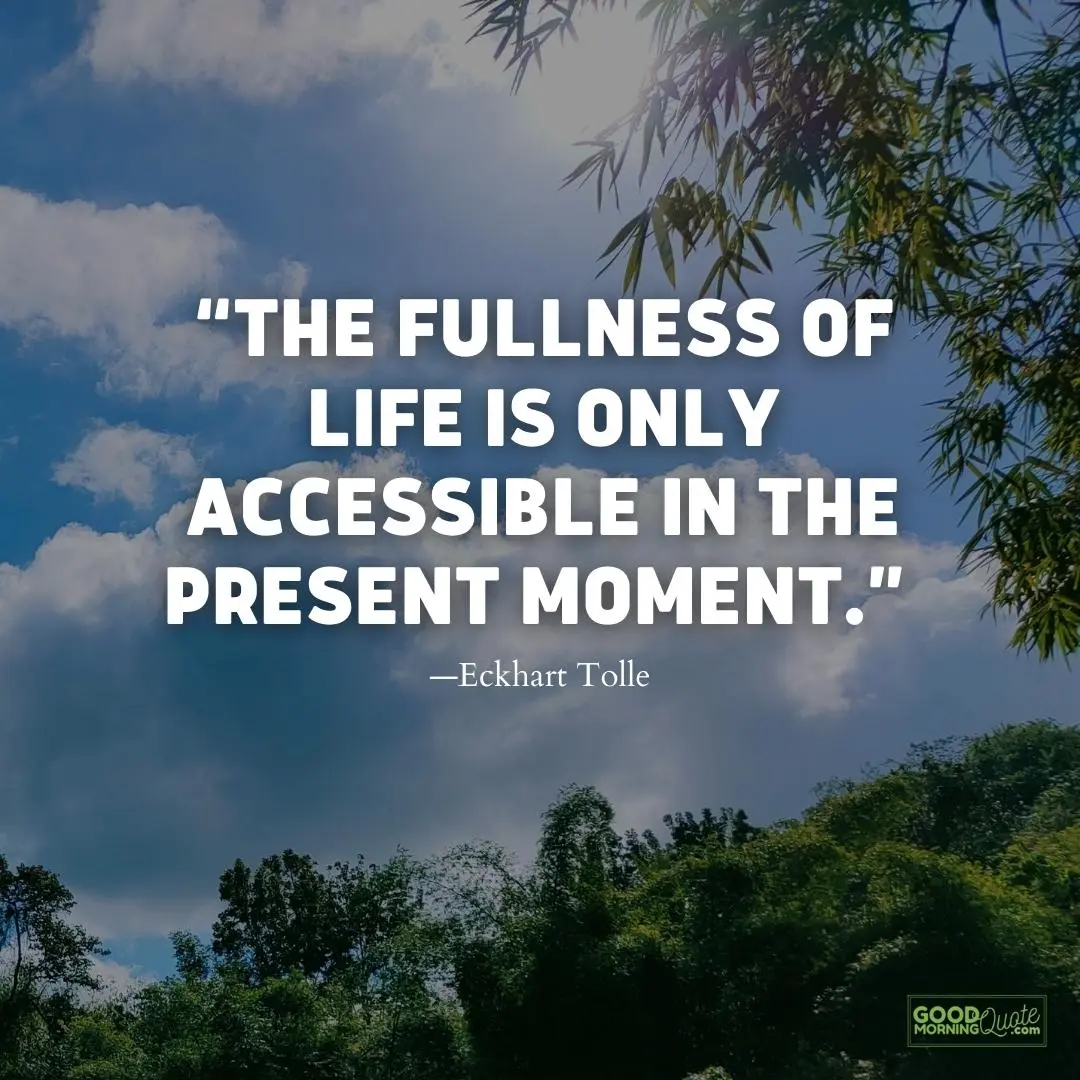 accessible in the present moment meaningful life quote