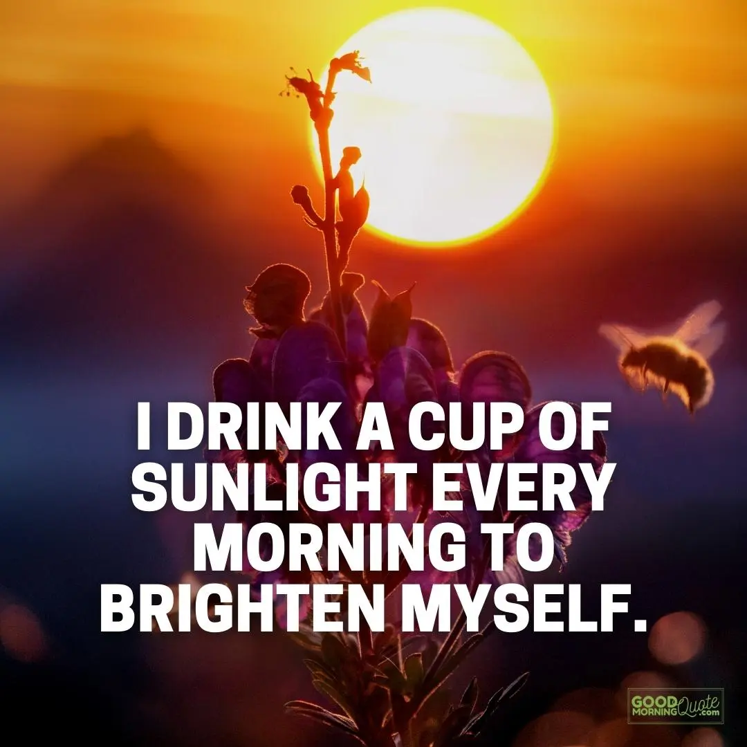 A good morning quote "drink a cup of sunlight every morning to brighten myself"  with a flower and sunset background picture and the good morning quote logo at the bottom