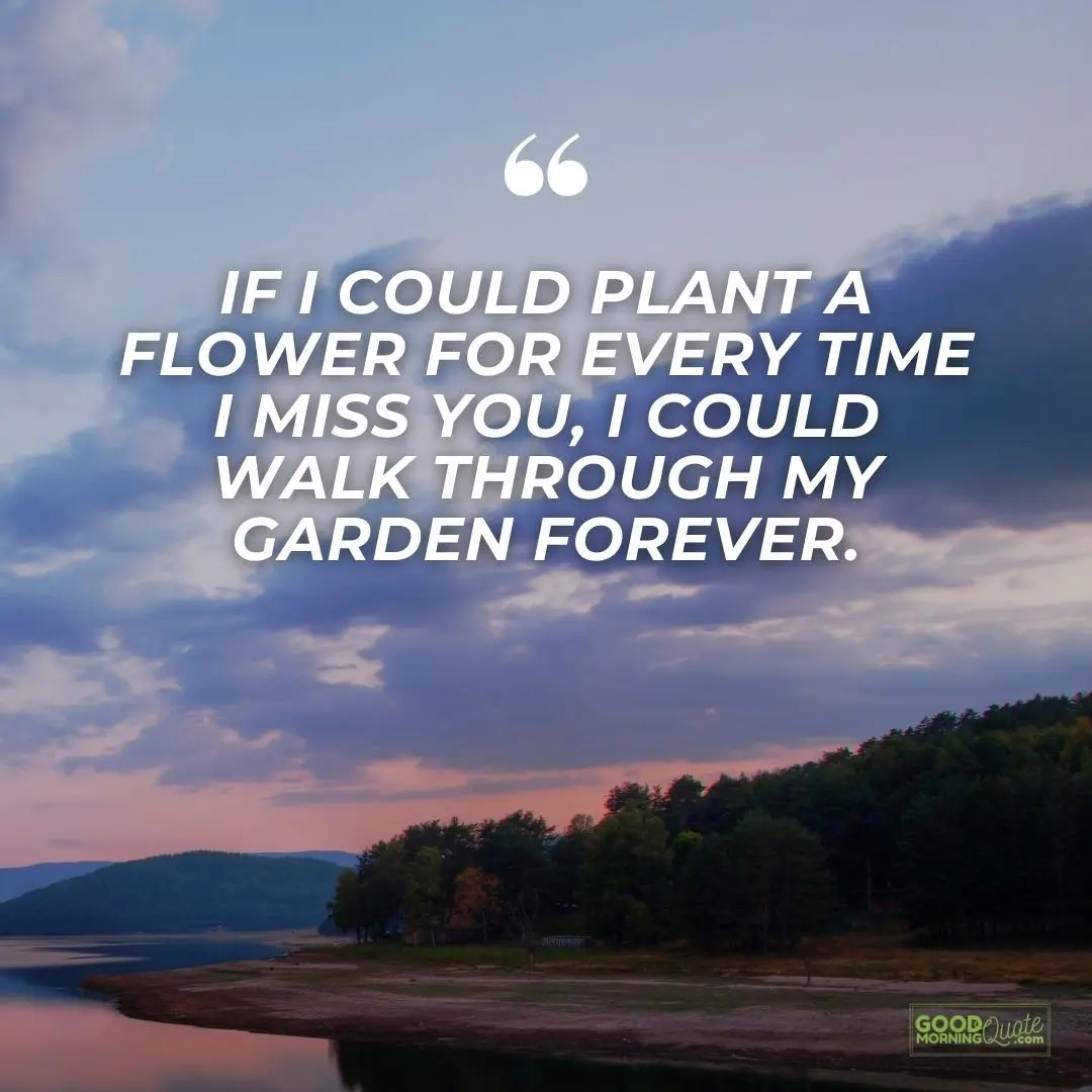 i could walk through my garden forever missing someone love quote