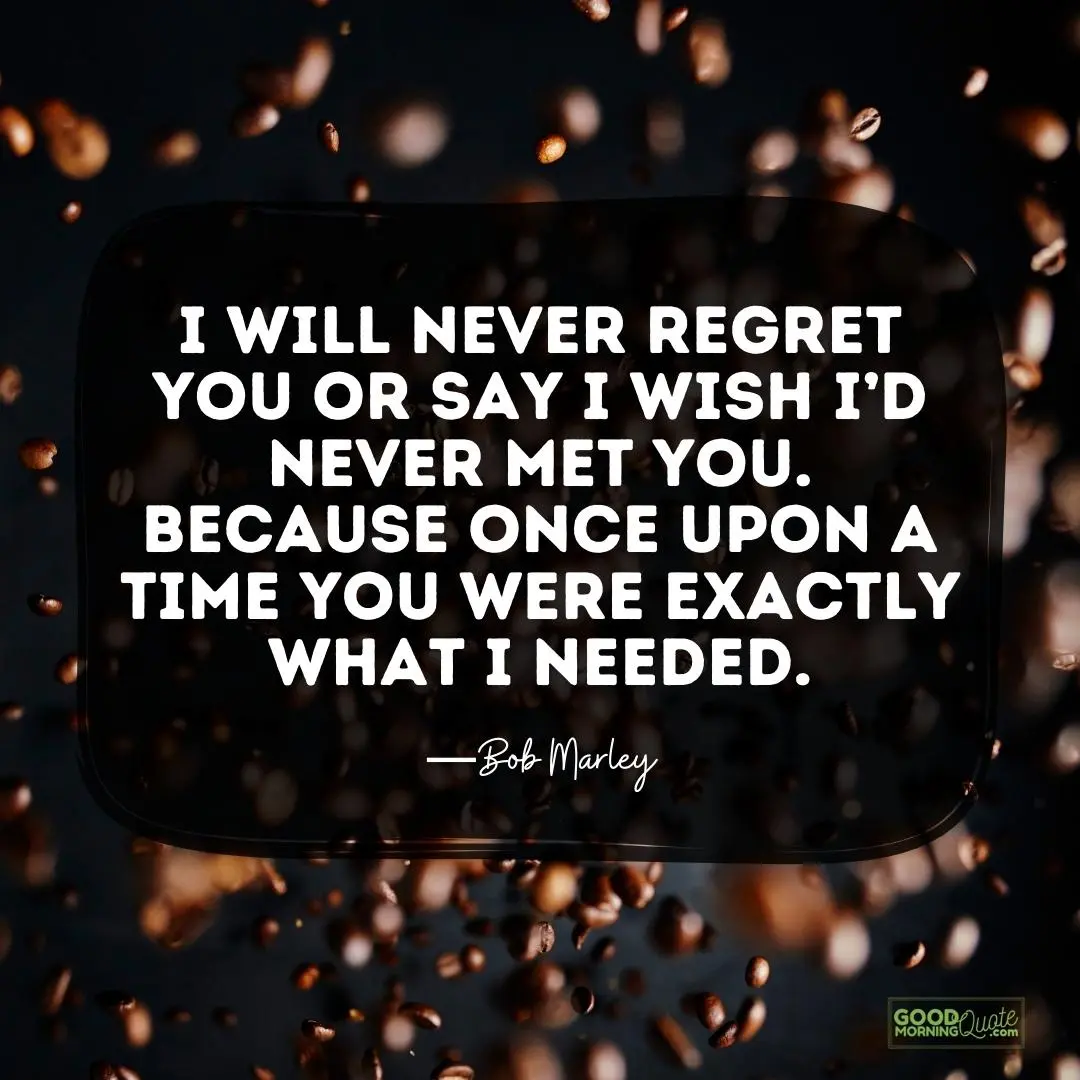 i will never regret you hurting quote