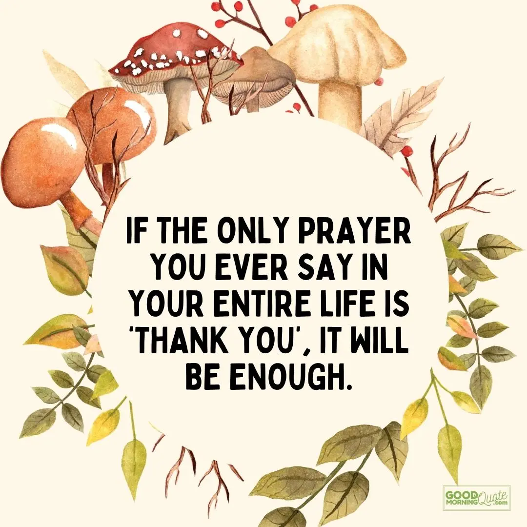 if the only prayer you ever say thanksgiving quote