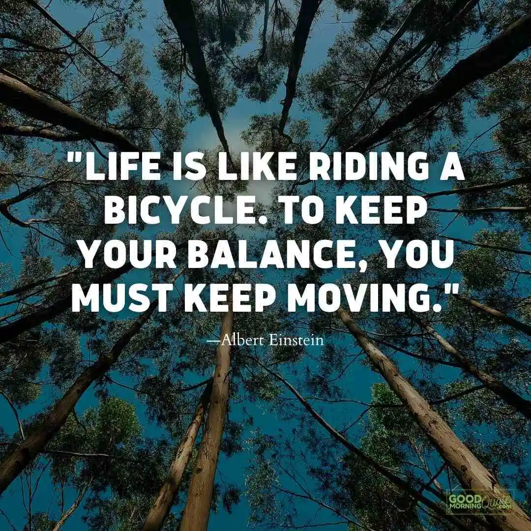 life is like riding a bicycle meaningful life quote