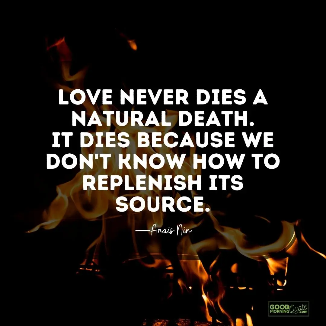 love never dies a natural death hurting quote