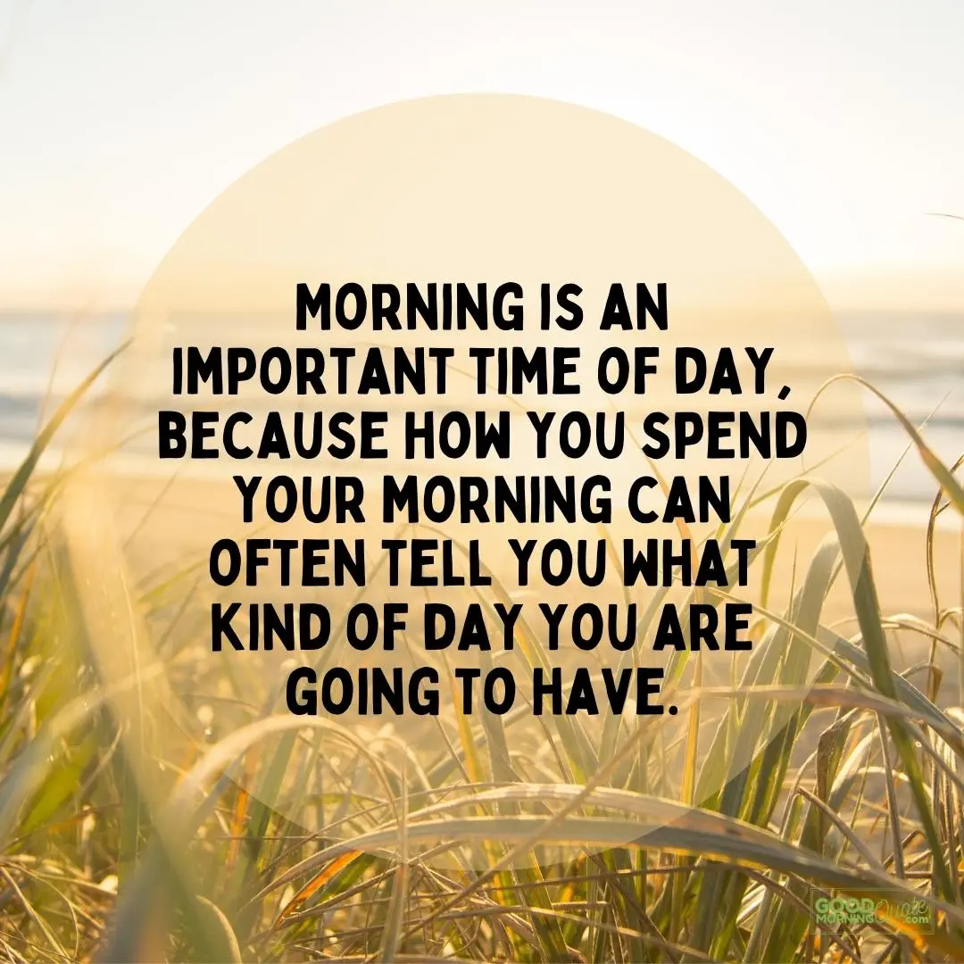 A good morning quote "morning is an important time of day" in a beach on a sunset background picture with the good morning quote logo at the bottom