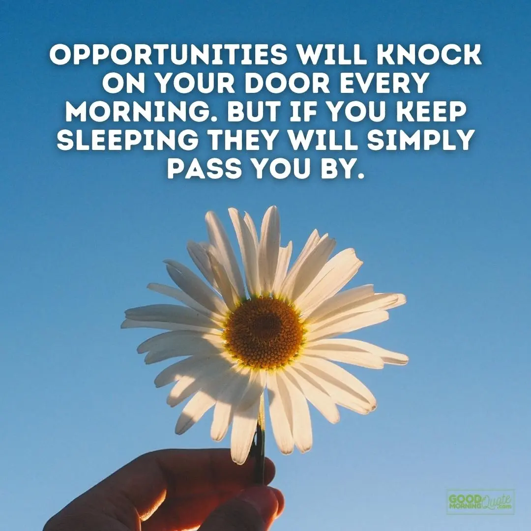 A good morning quote "opportunities will knock on your door every morning" showing a daisy flower with the good morning quote logo at the bottom