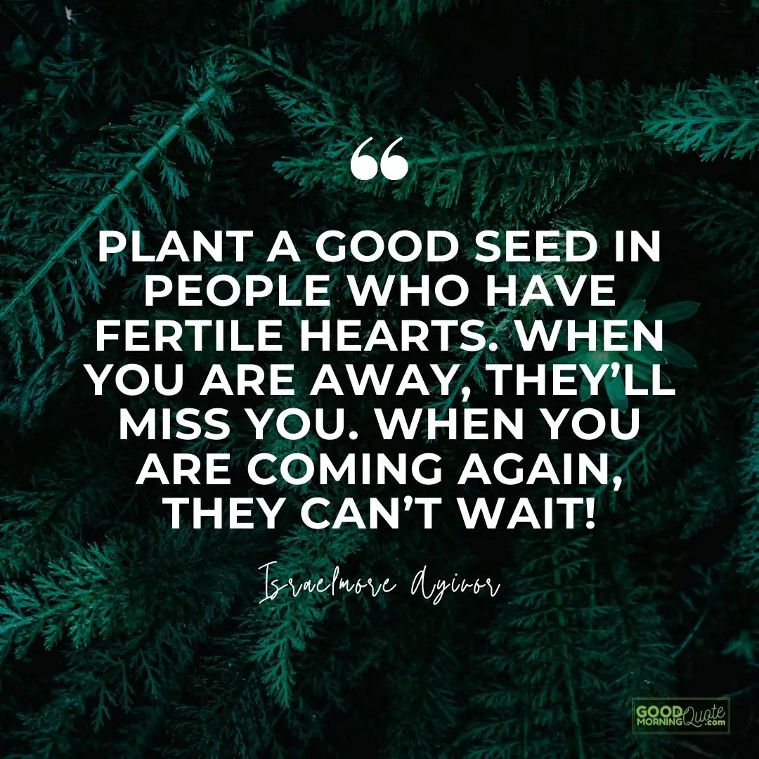 plant a good seed in people who have fertile hearts missing someone love quote