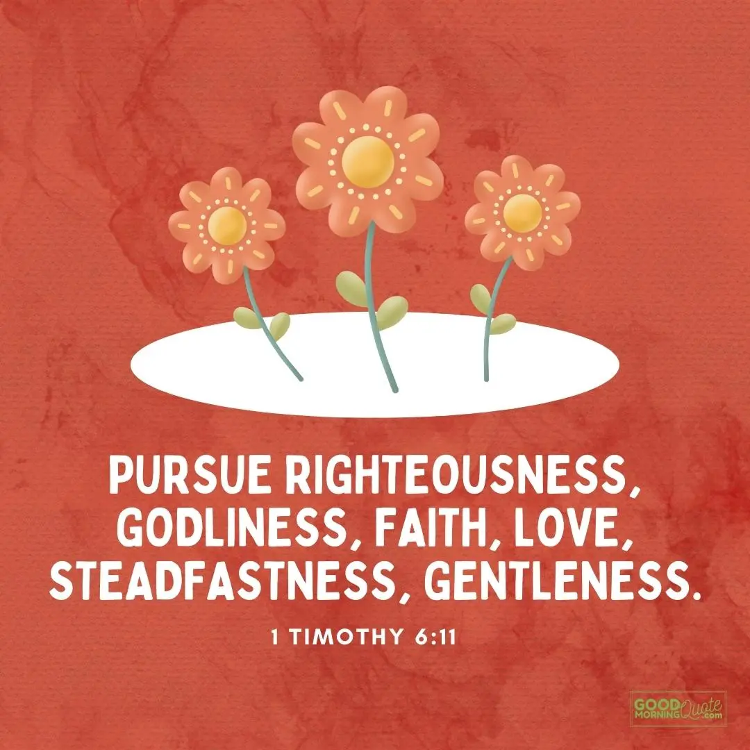 pursue righteousness bible verse