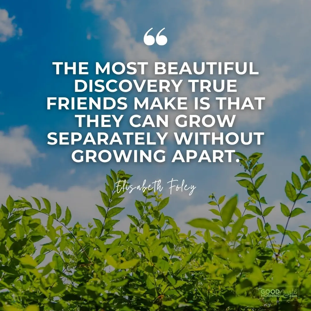 the most beautiful discovery true friends make missing someone love quote