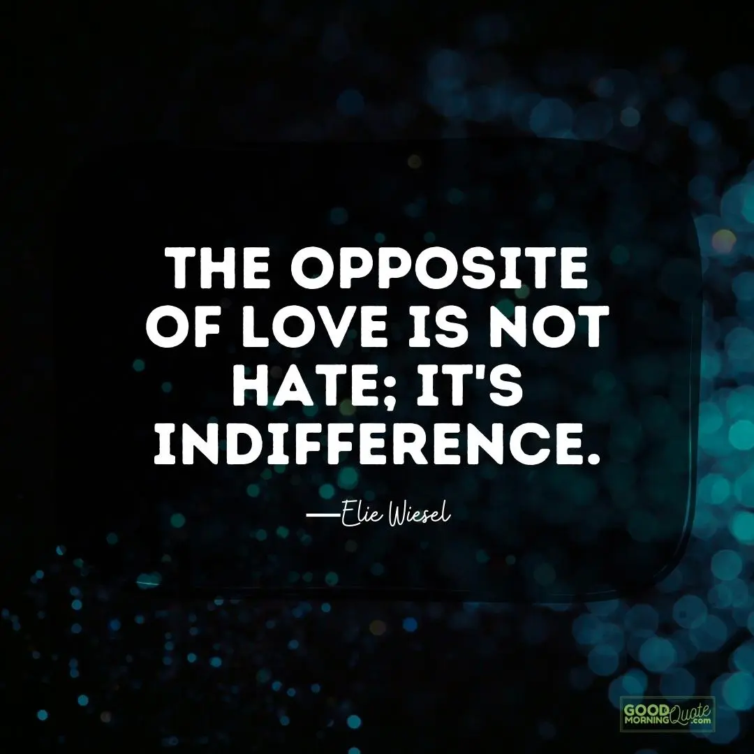 the opposite of love is not hate hurting quote