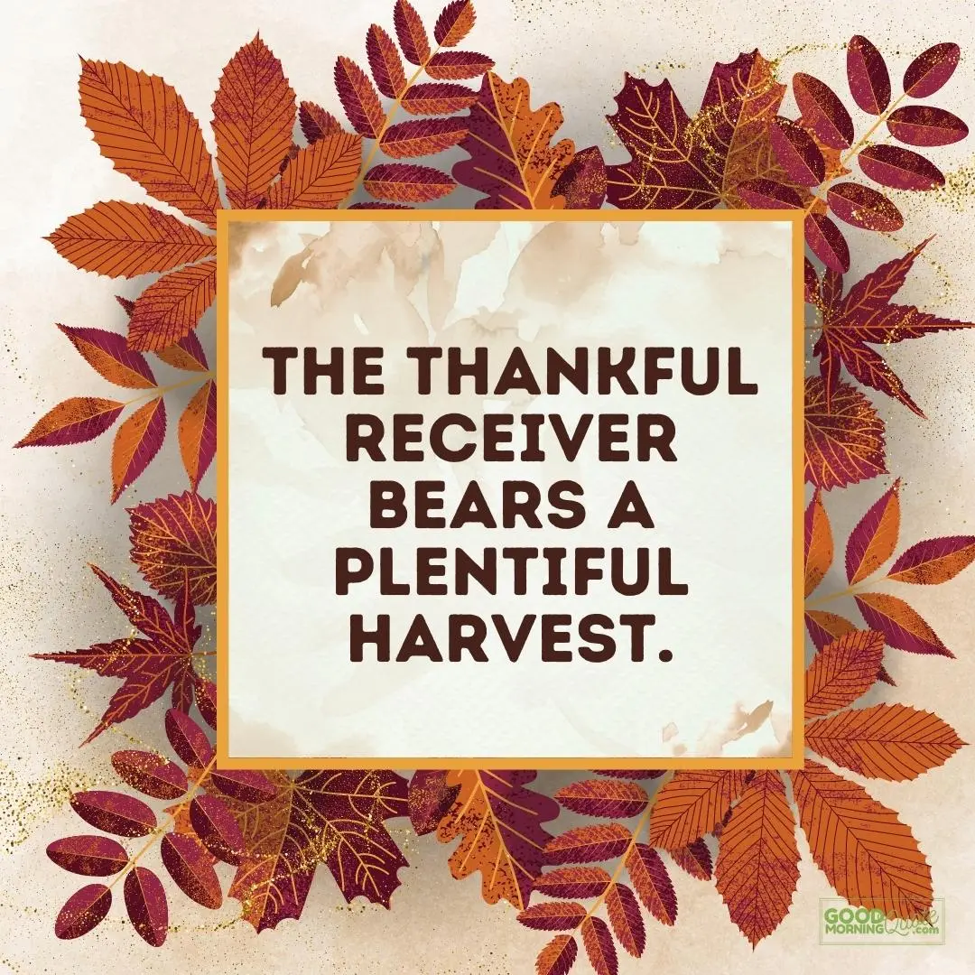 the thankful receiver bears a plentiful harvest happy thanksgiving qoutes