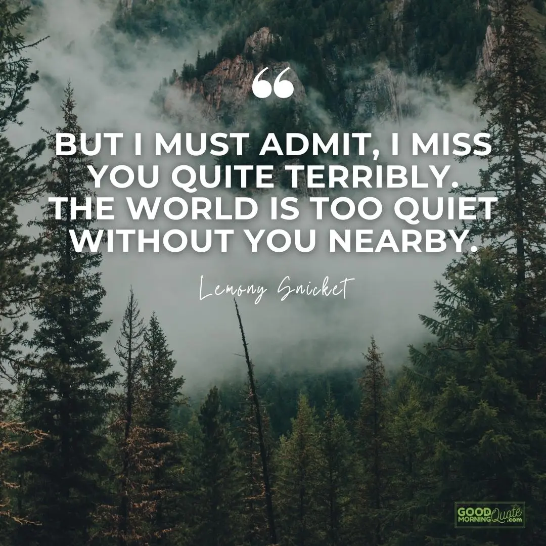 the world is too quiet without you nearby missing someone love quote