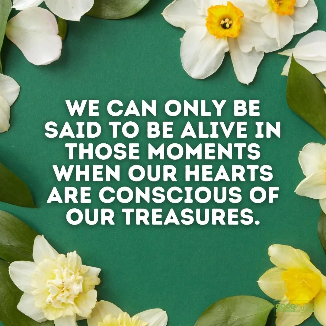 when our hearts are conscious of our treasures thanksgiving quote