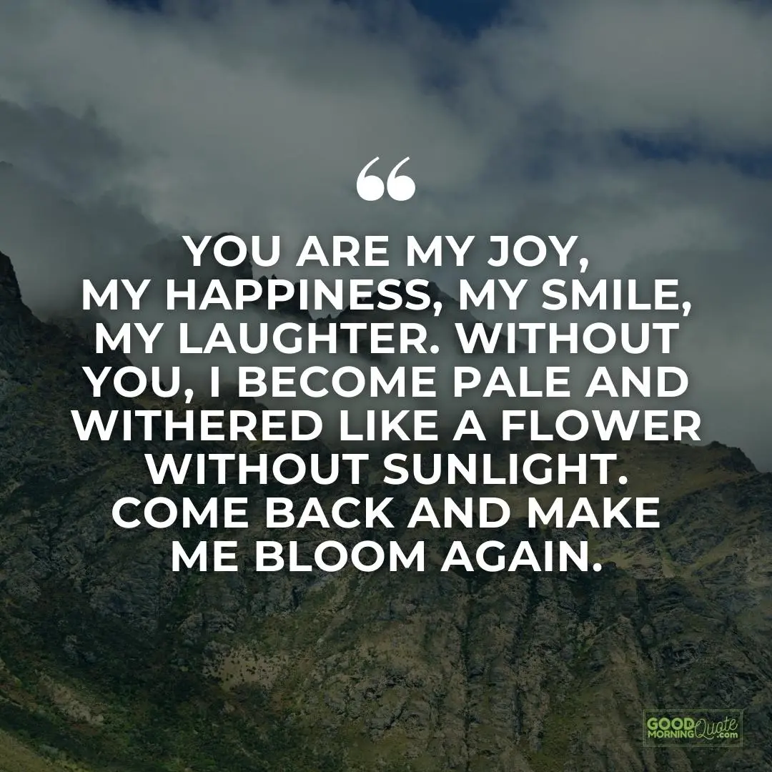 you are my joy my happiness missing someone love quote
