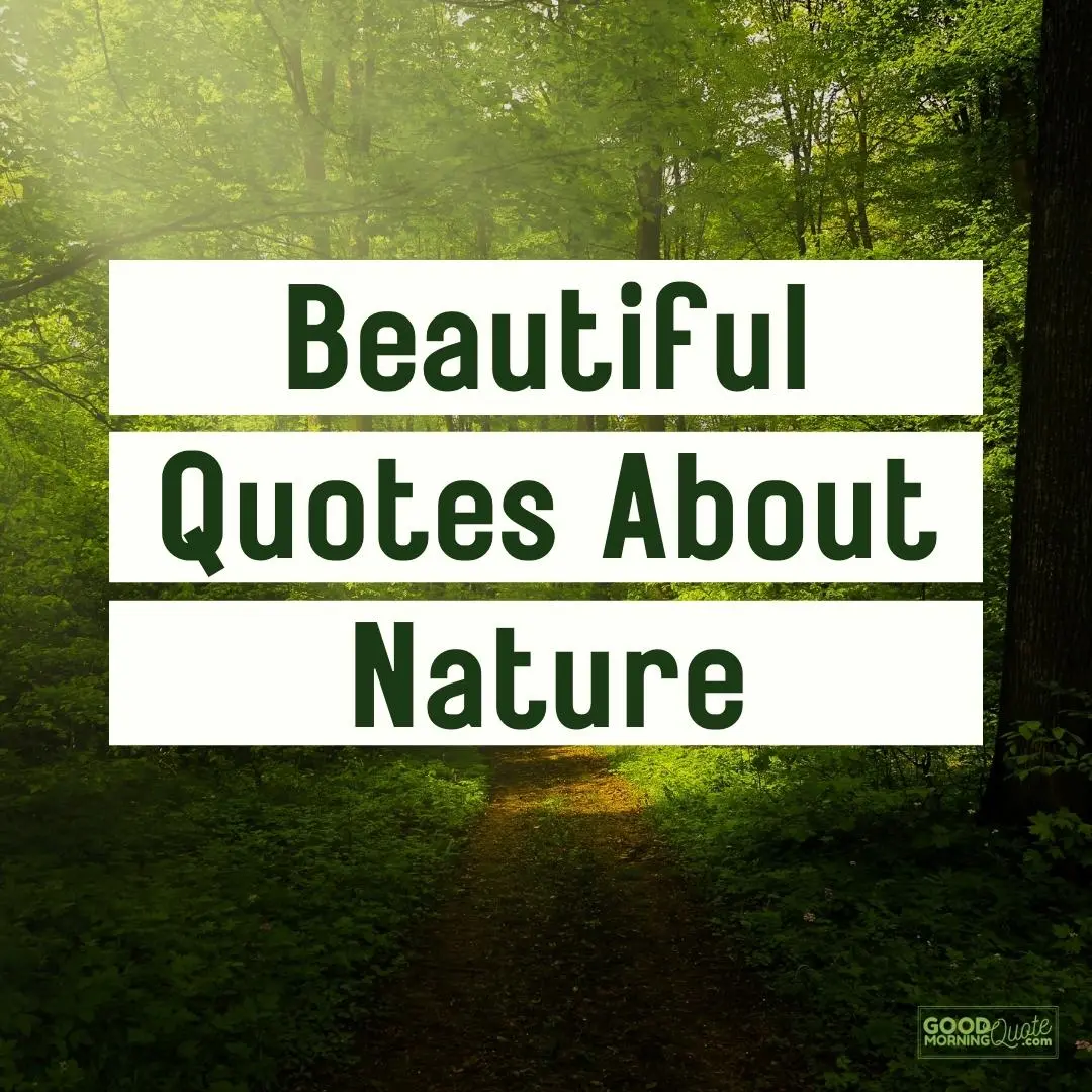 30 Beautiful Quotes about Nature with Images to Inspire you