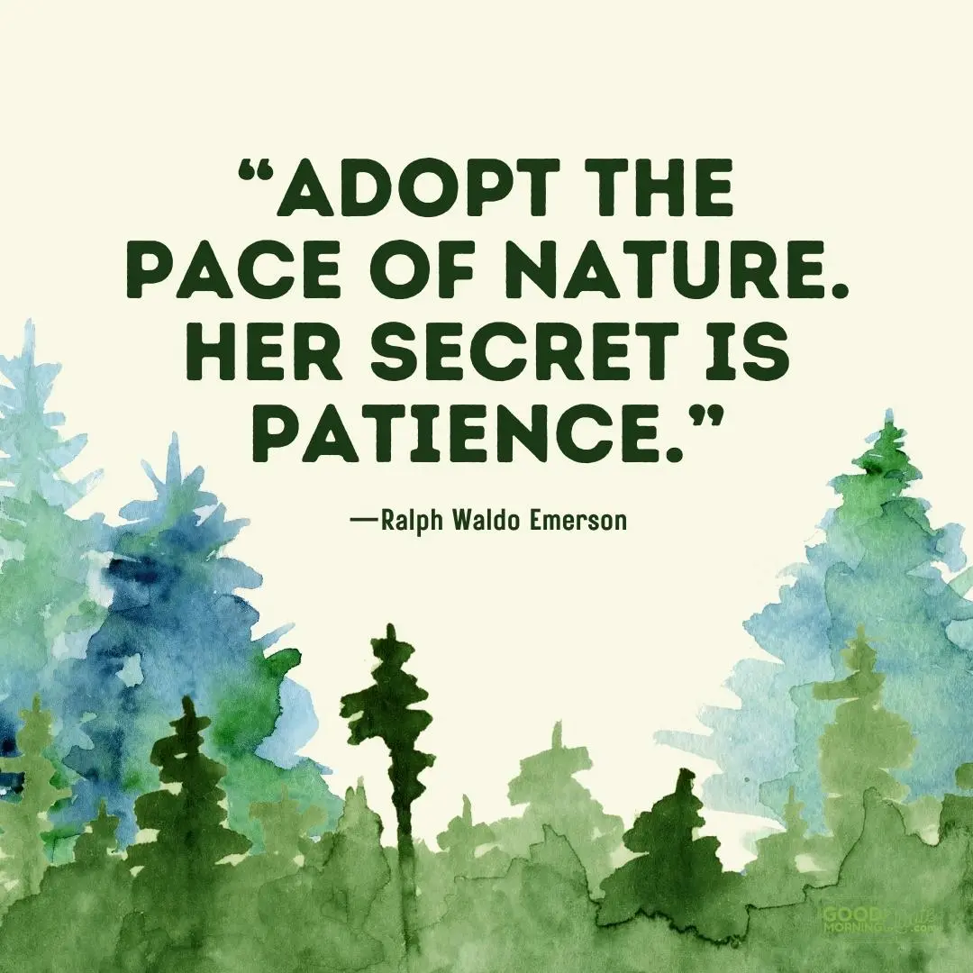 adopt the pace of nature - nature quote