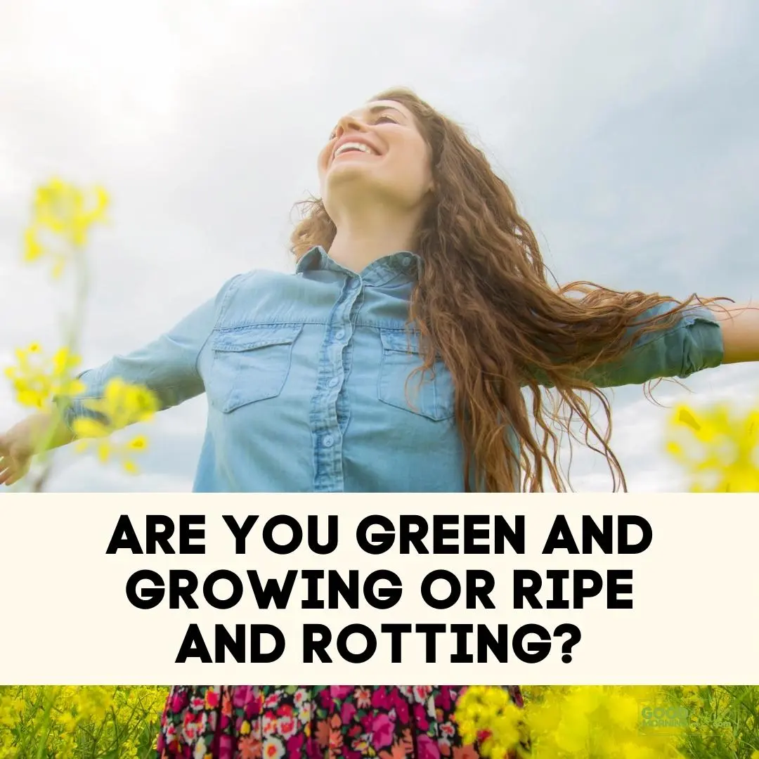 are you green and growing funny wisdom quote