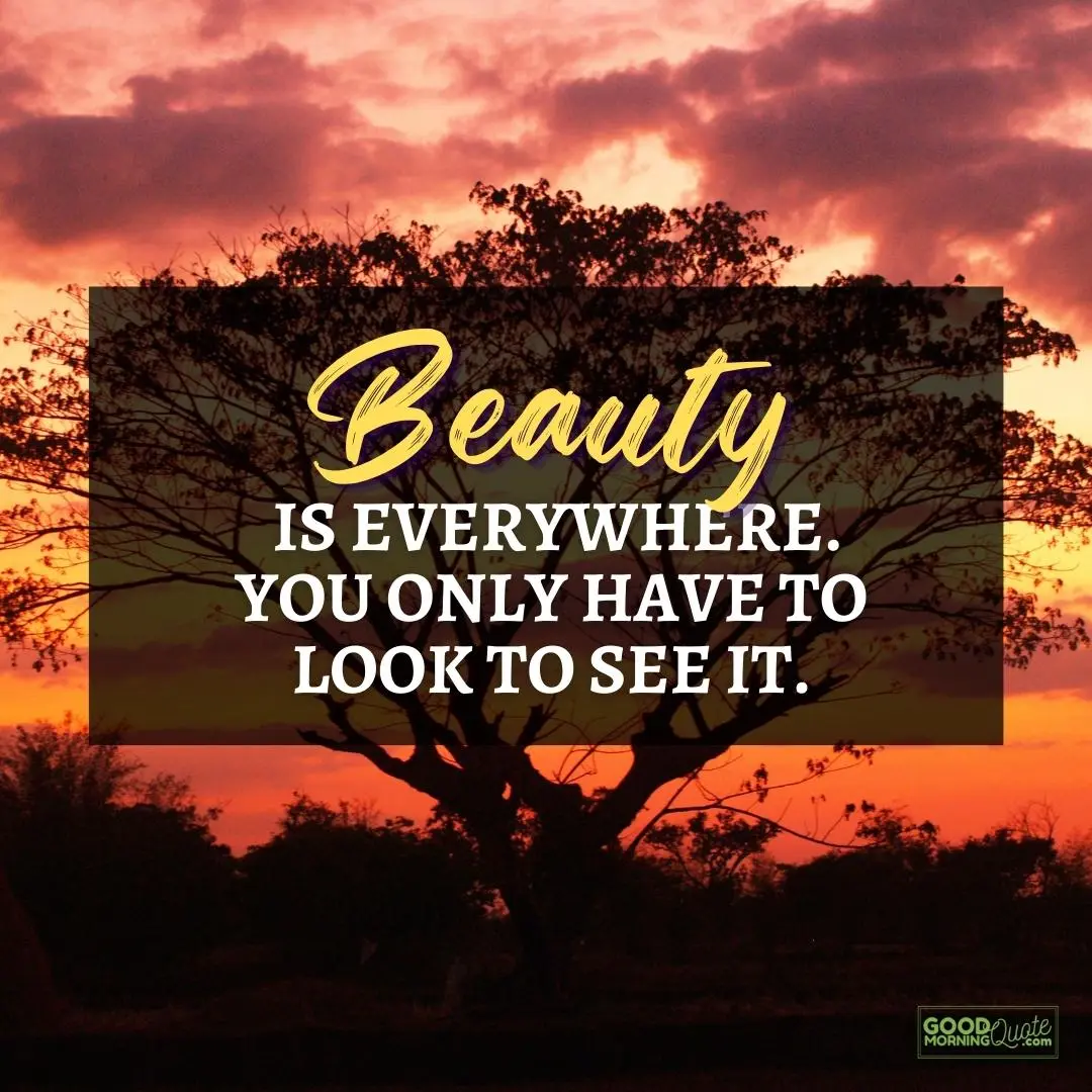 beauty is everywhere happy positive quote