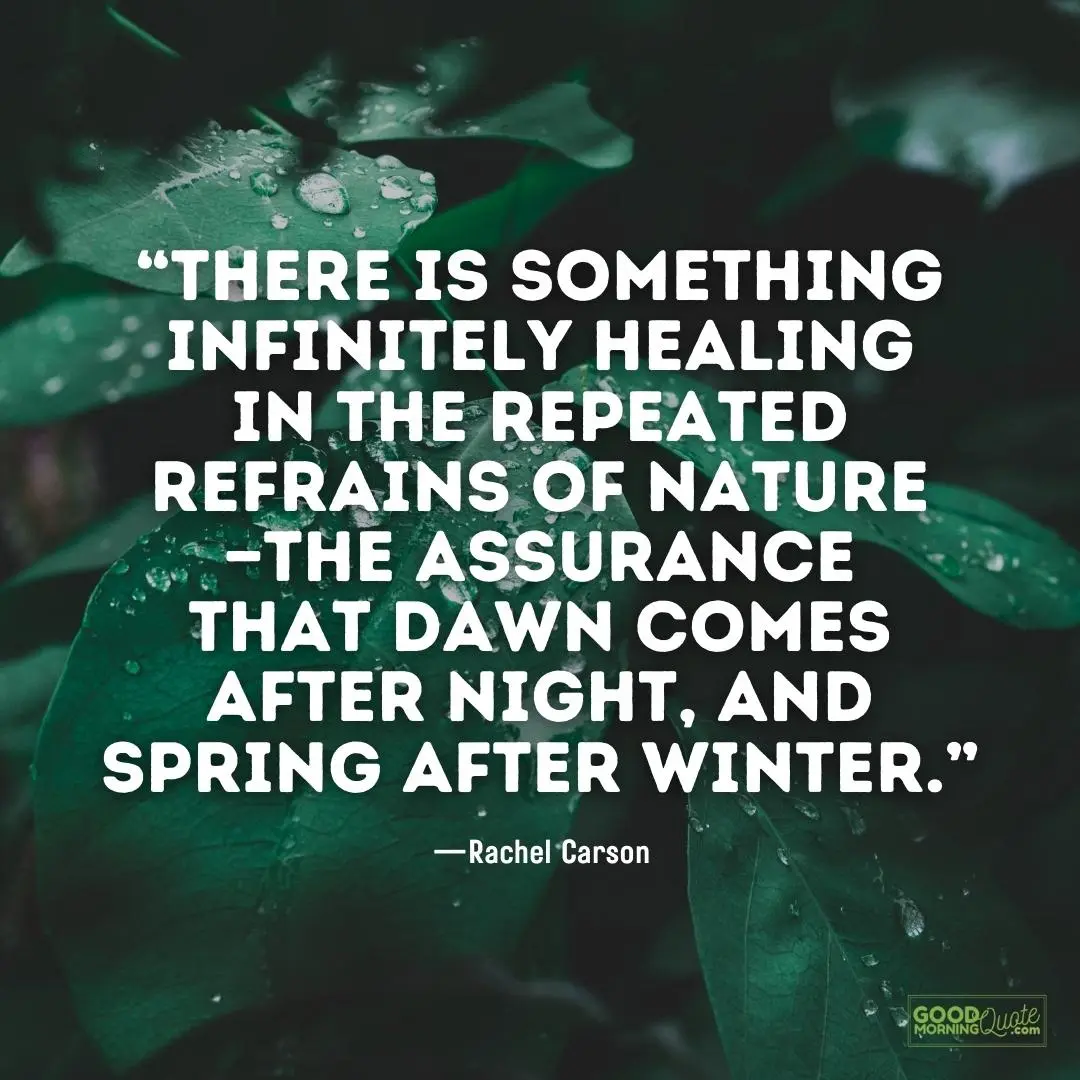 dawn comes after night and spring after winter - nature quote