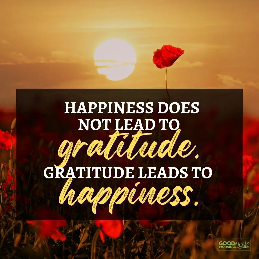 gratitude leads to happiness happy positive quote
