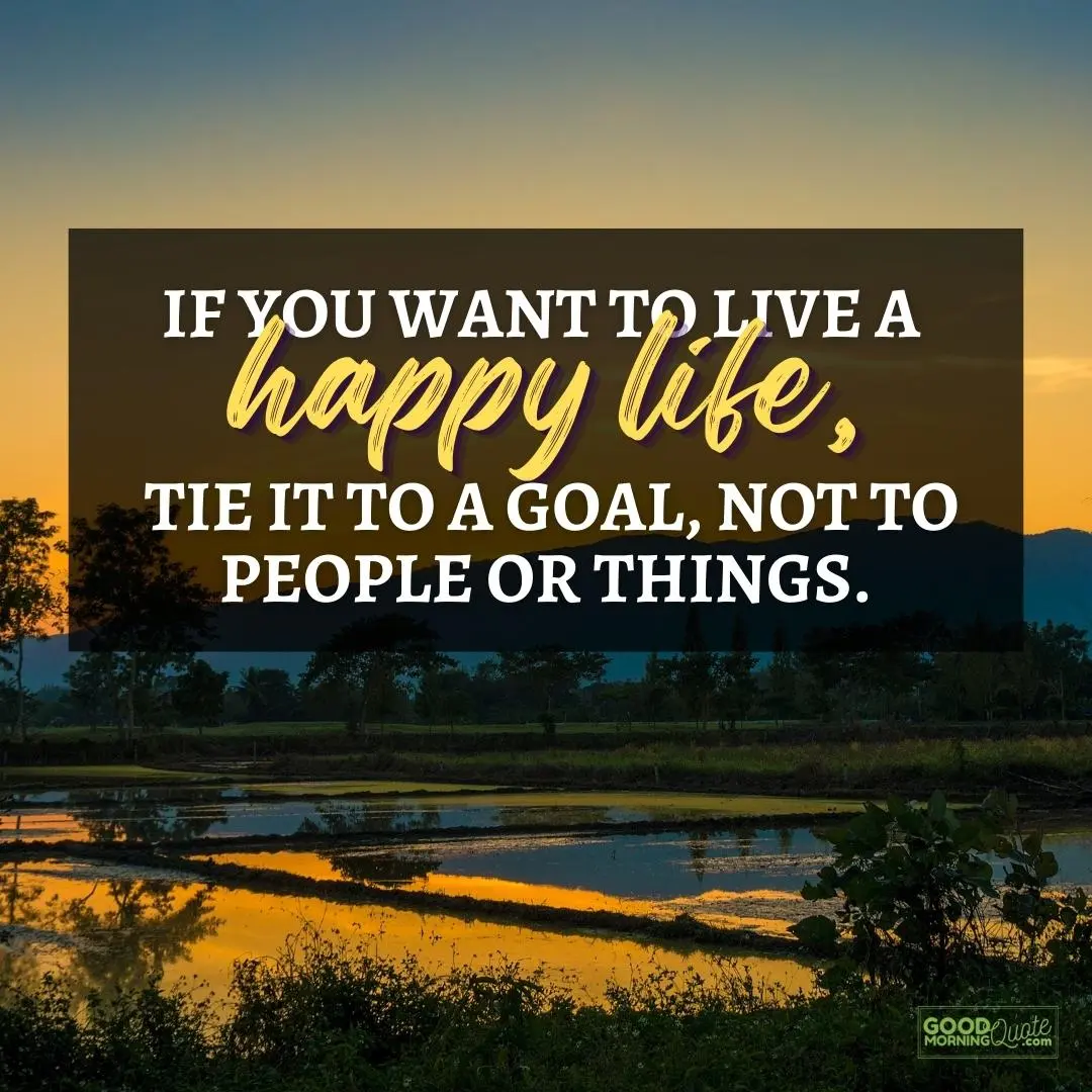 if you want to live a happy life happy positive quote