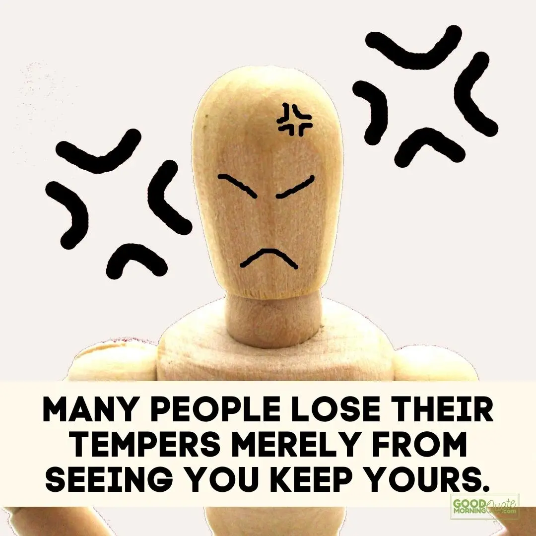 many people lose their tempers funny wisdom quote