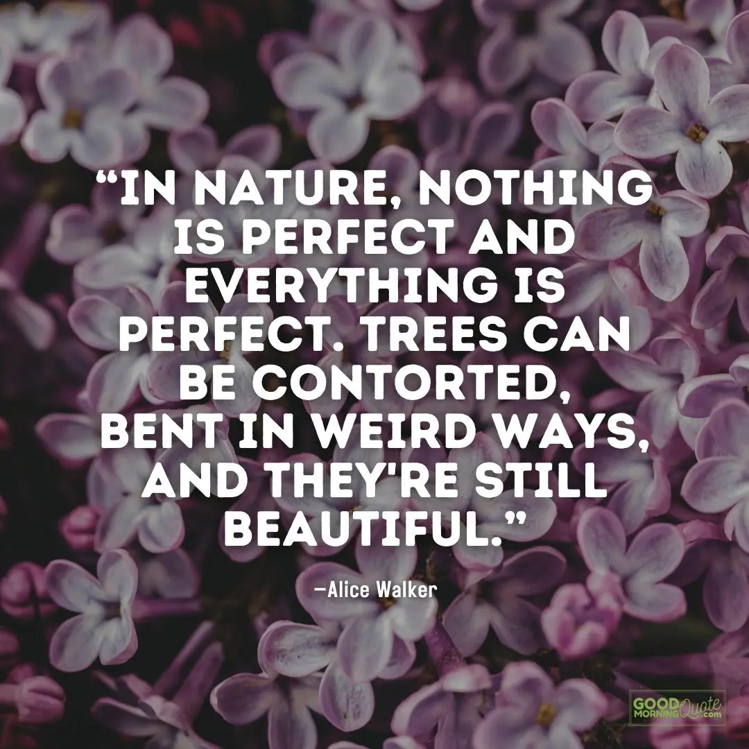 nothing is perfect and everything is perfect - nature quote