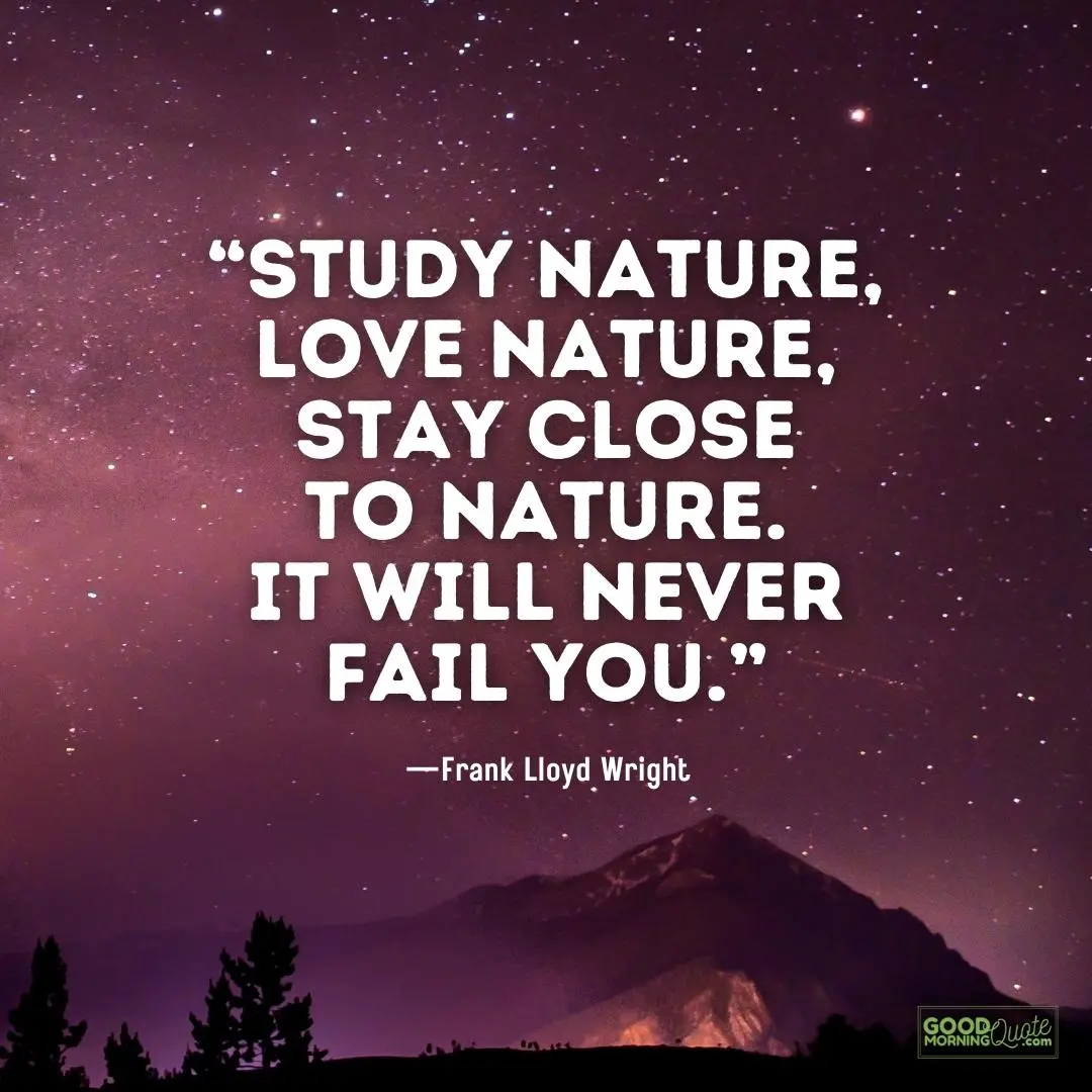 study nature it will never fail you - nature quote