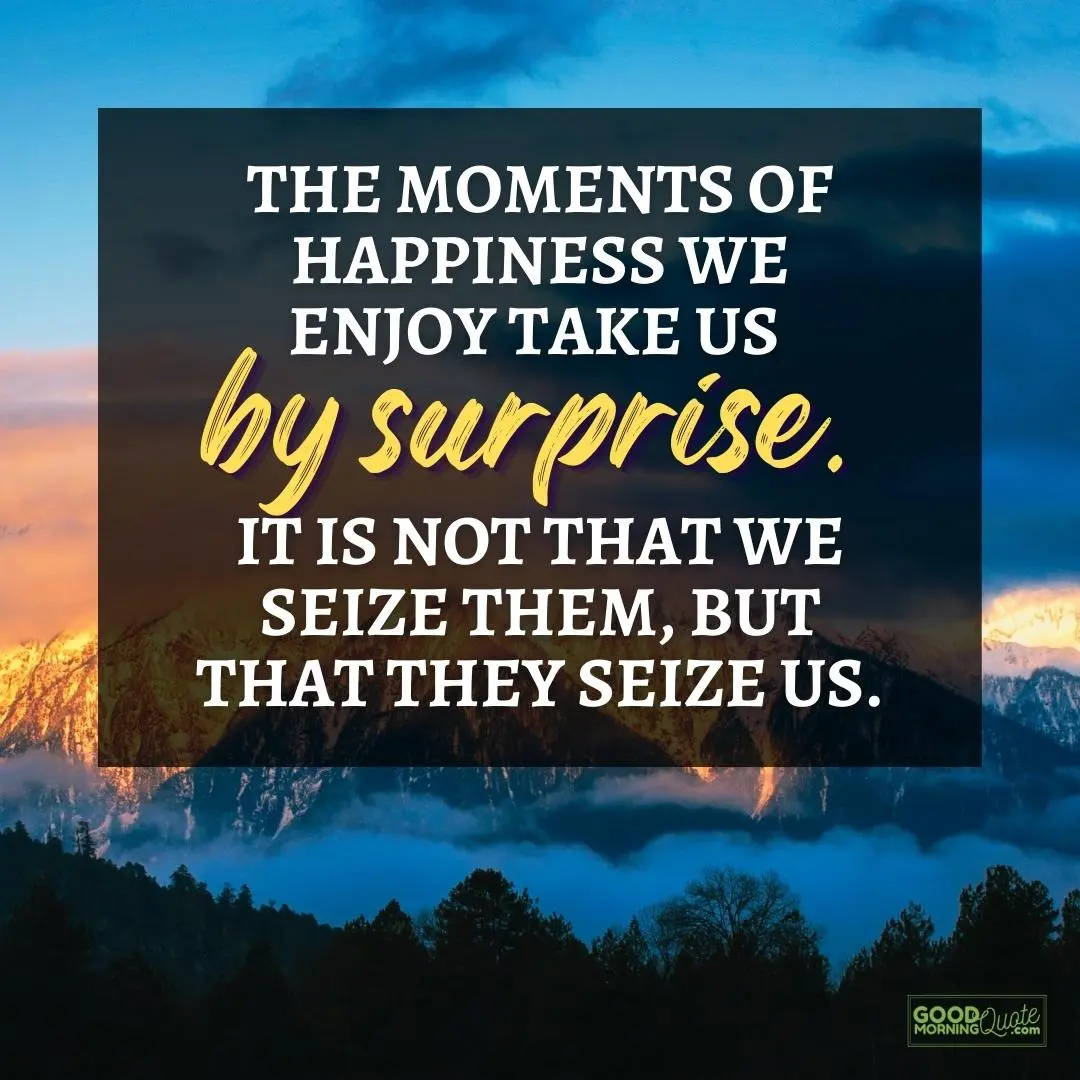 the moments of happiness we enjoy happy positive quote