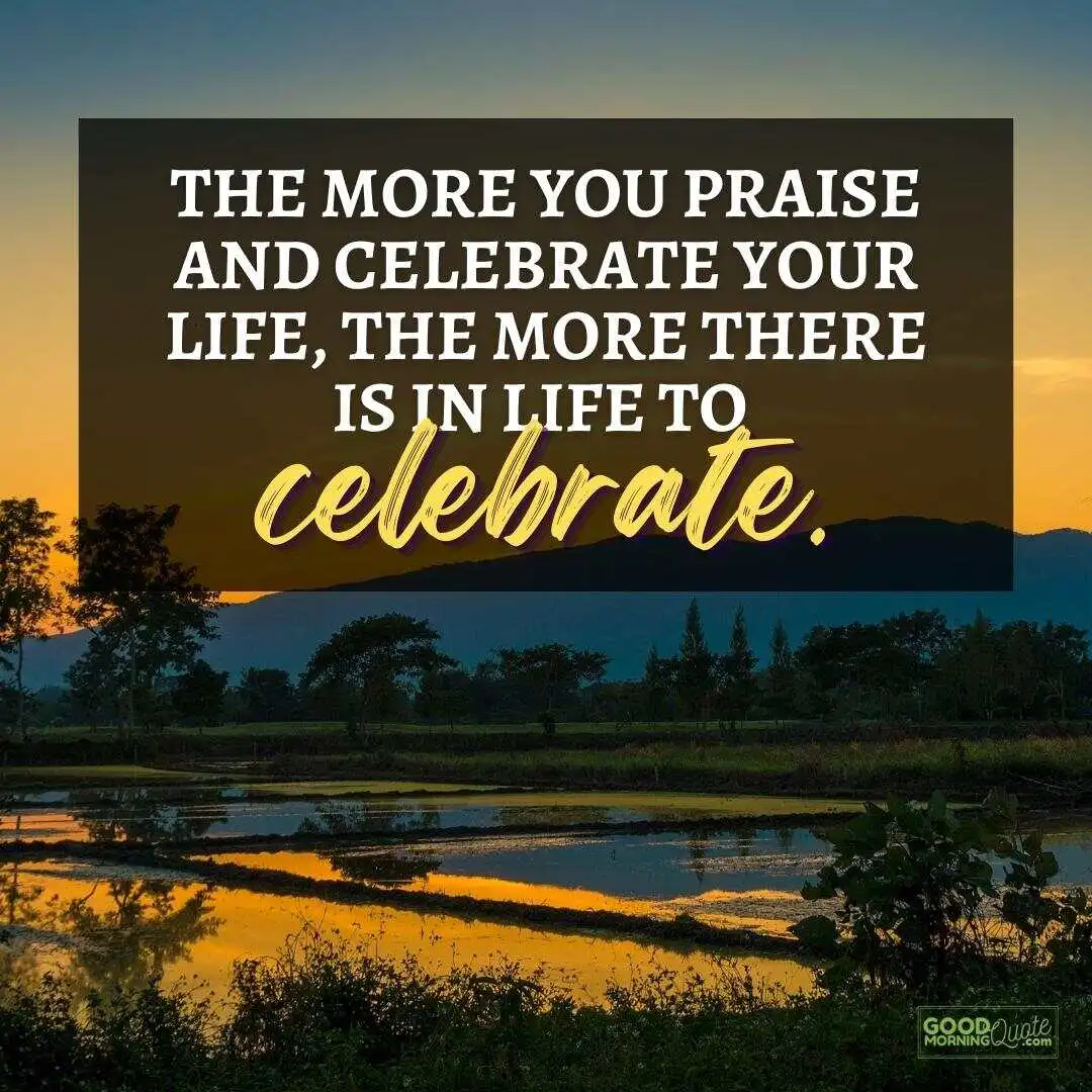 the more there is in life to celebrate happy positive quote