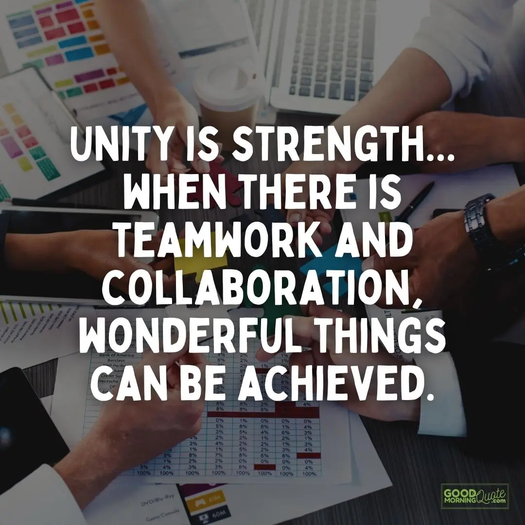 unity is strength teamwork quote