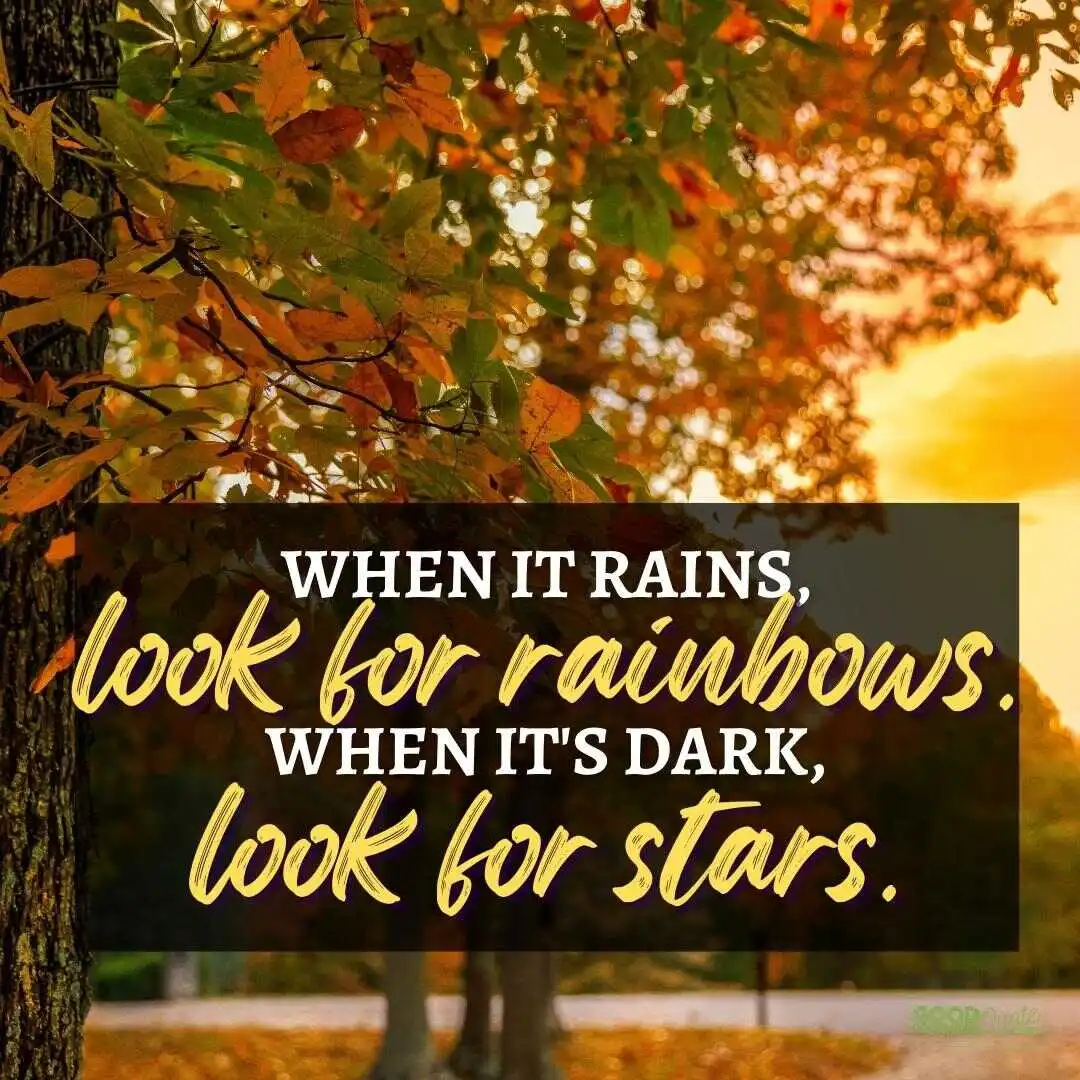 when it rains look for rainbows happy positive quote