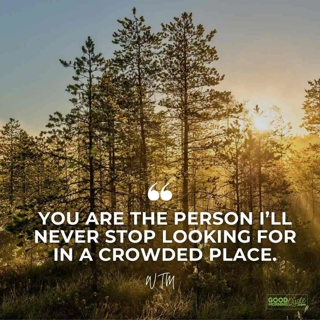 you are the person I'll never stop looking for 
