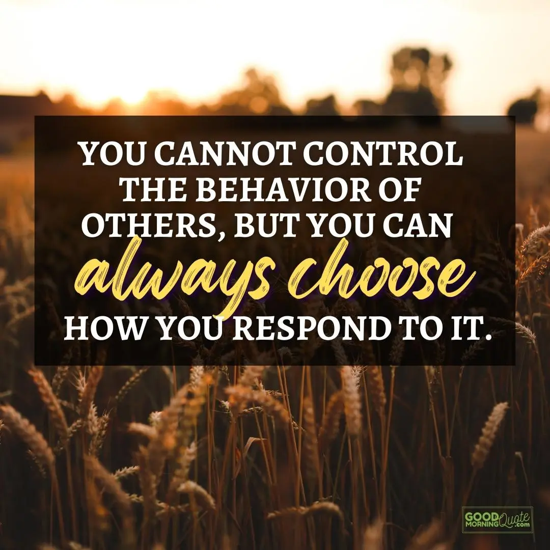 you can always choose how you respond happy positive quote