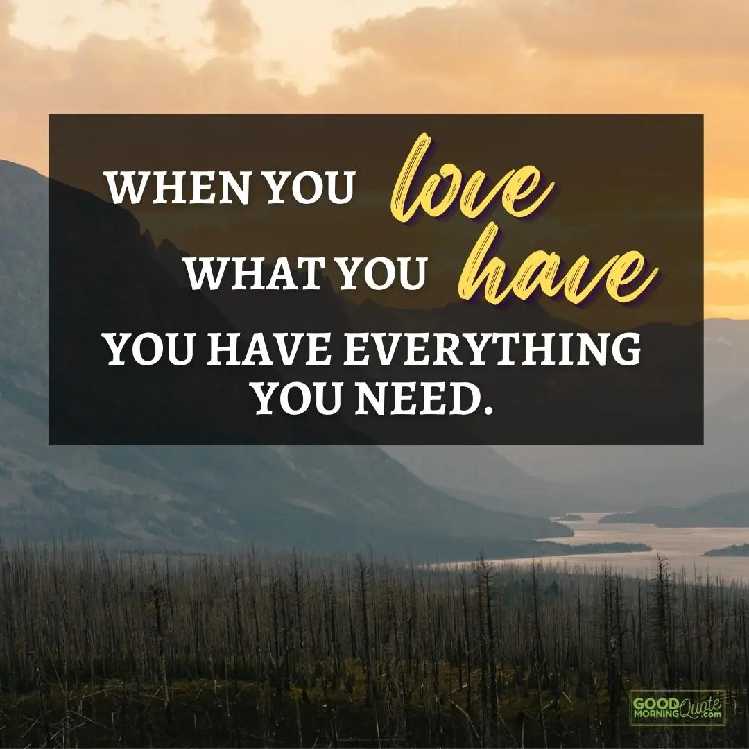 you have everything you need happy positive quote