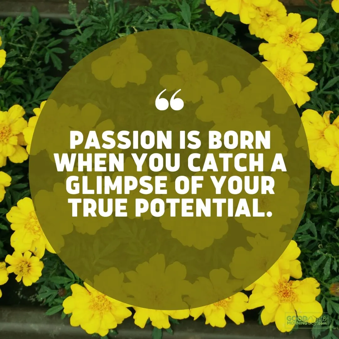 catch a glimpse of your true potential passion quote