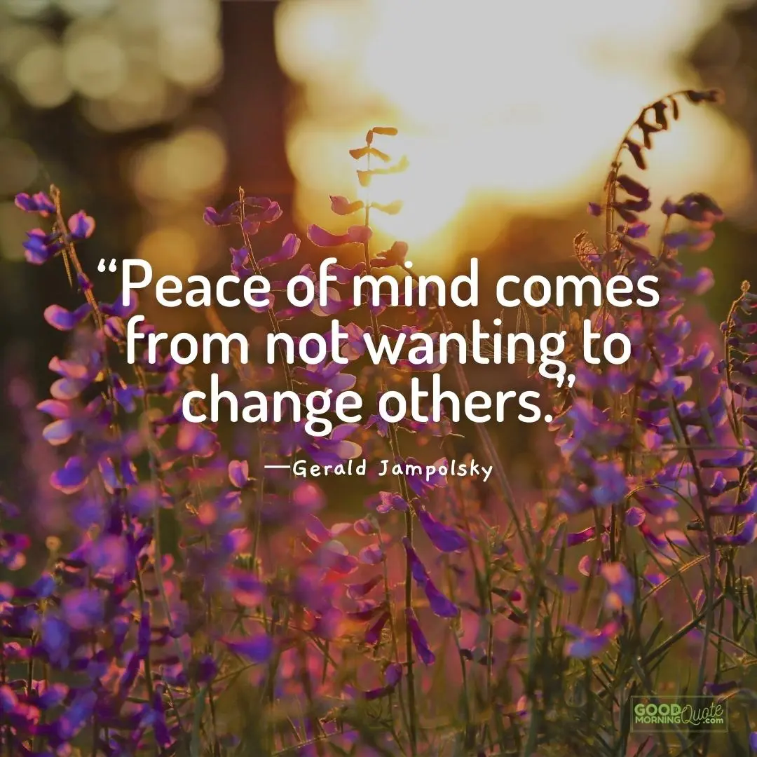 comes from not wanting to change others - Peace of Mind Quote
