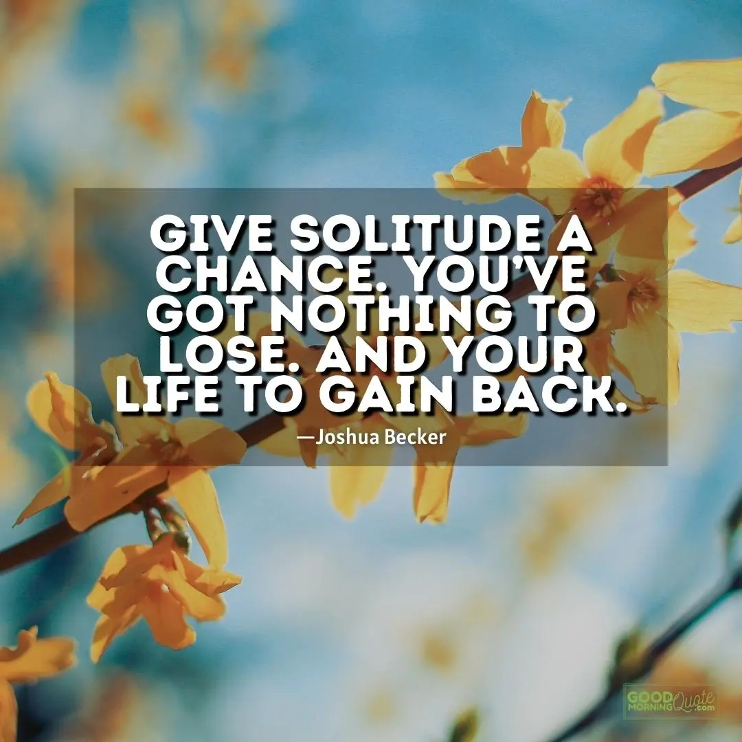give solitude a chance - solitude quote