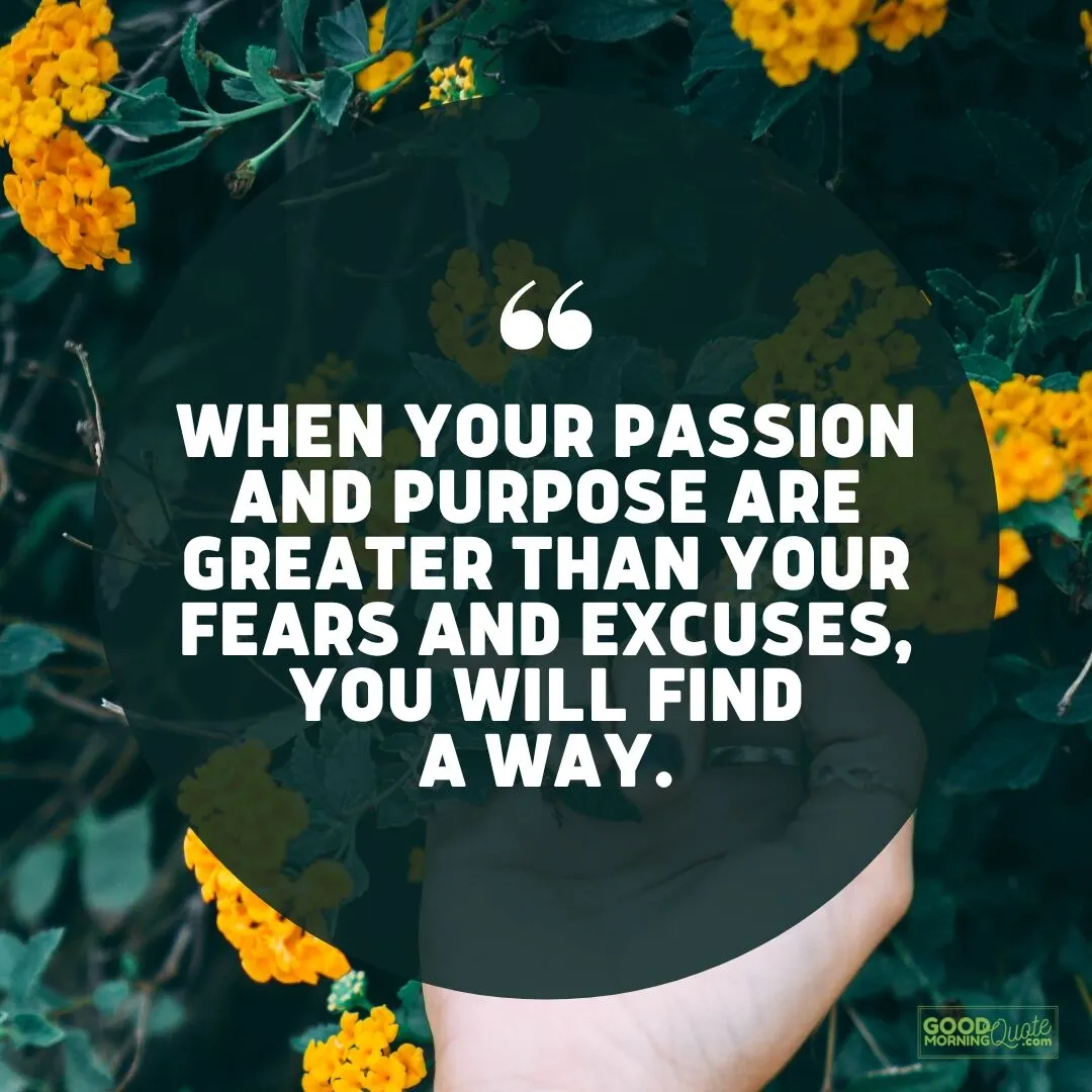 greater than your fears and excuses - passion quote