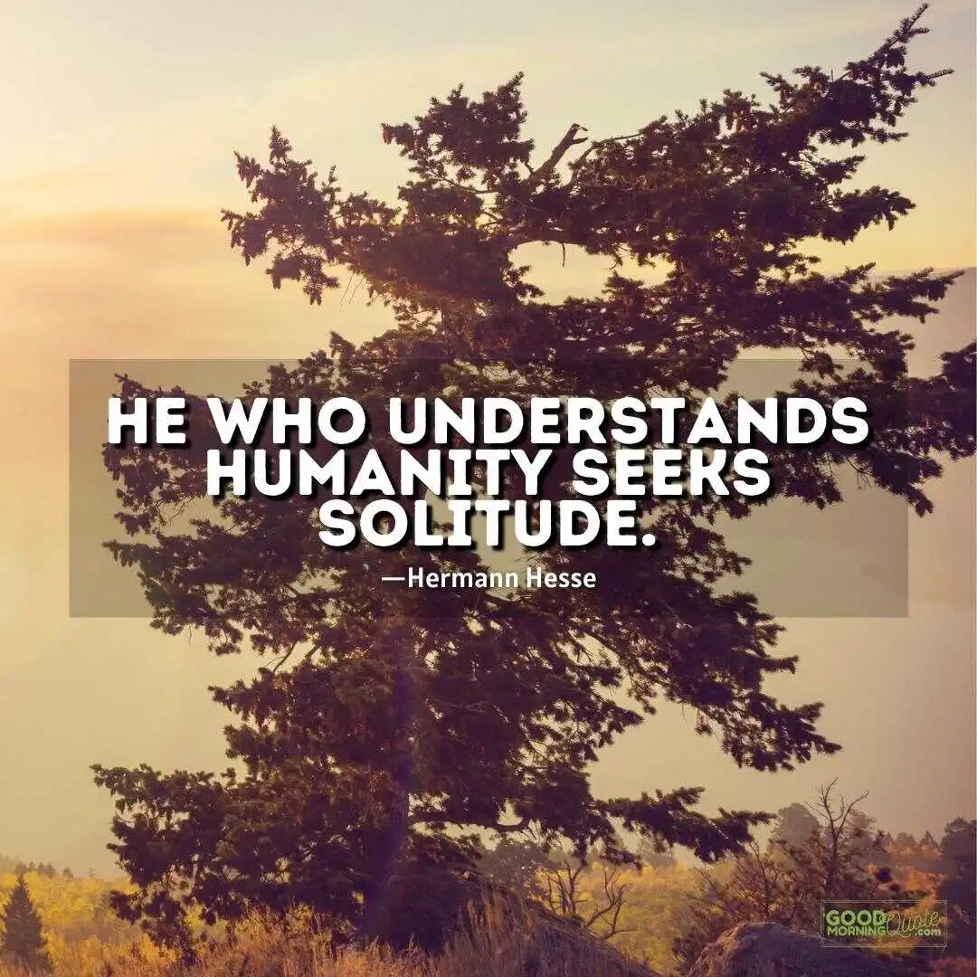 he who understands humanity seeks solitude - solitude quote
