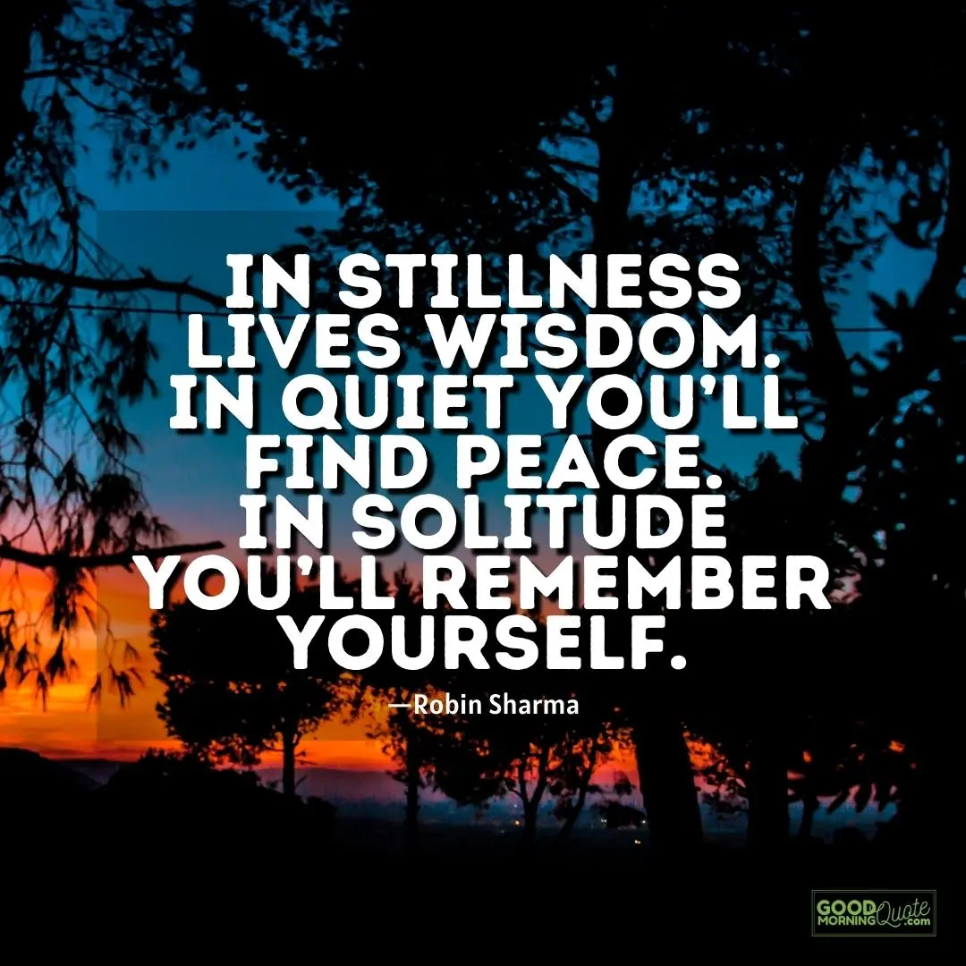 in stillness lives wisdom - alone quote