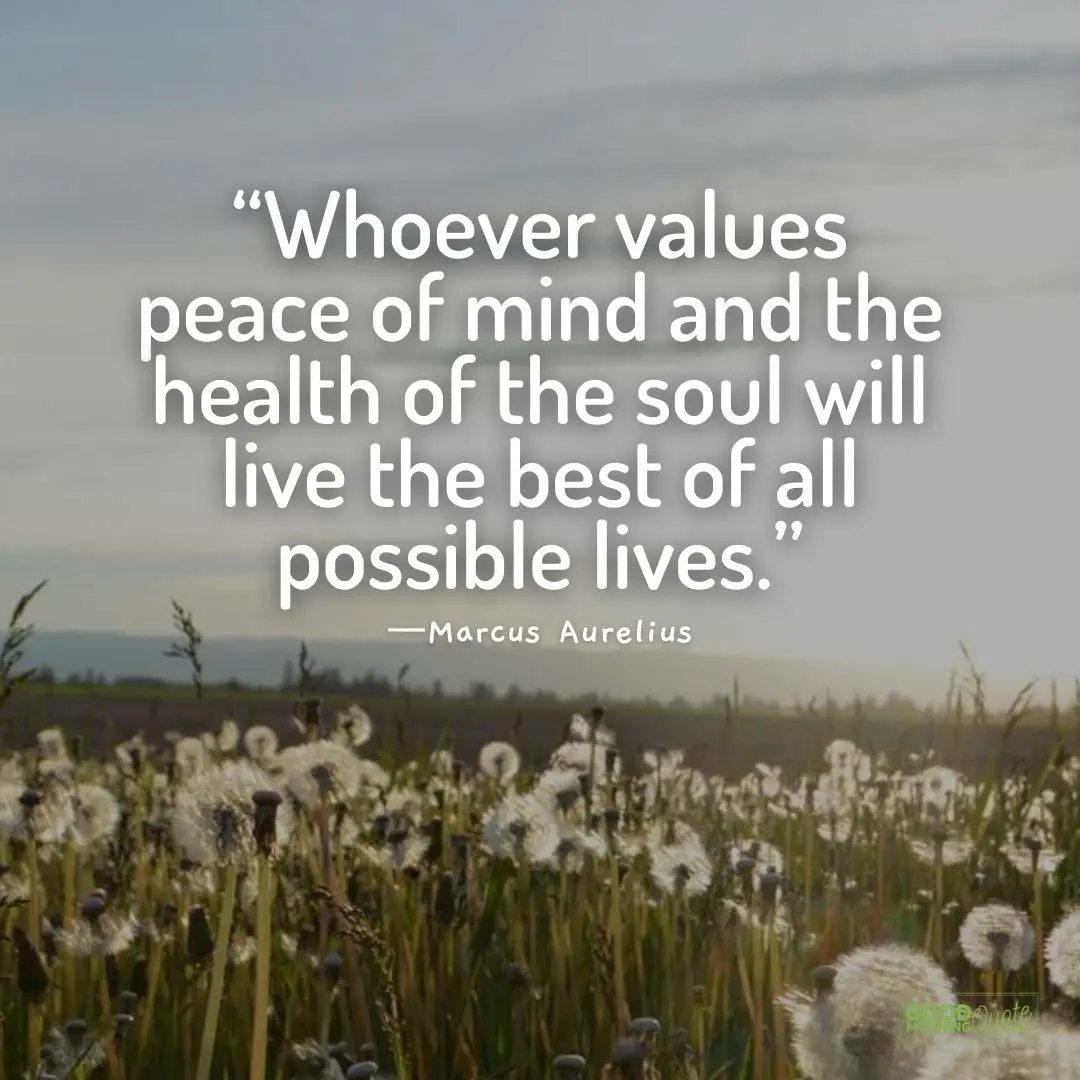 live the best of all possible lives - 