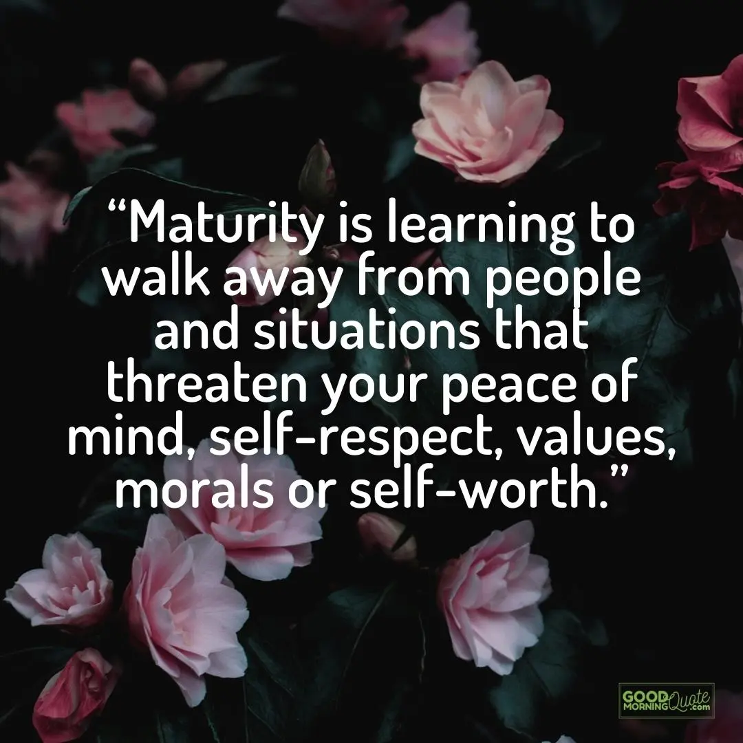 maturity is learning to walk away from people and situation - Peace of Mind Quote