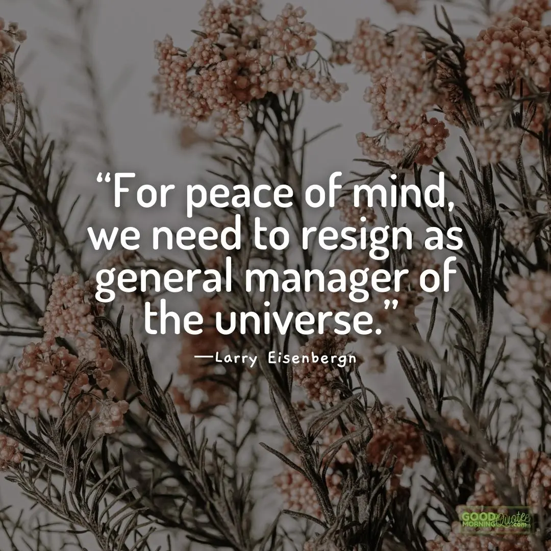 resign as general manager of the universe - Peace of Mind Quote