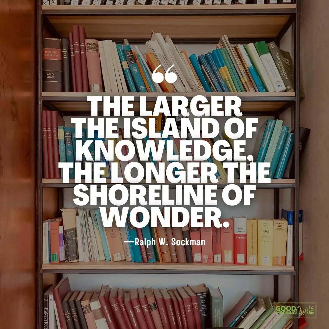 the larger the island of knowledge - Education  Quote