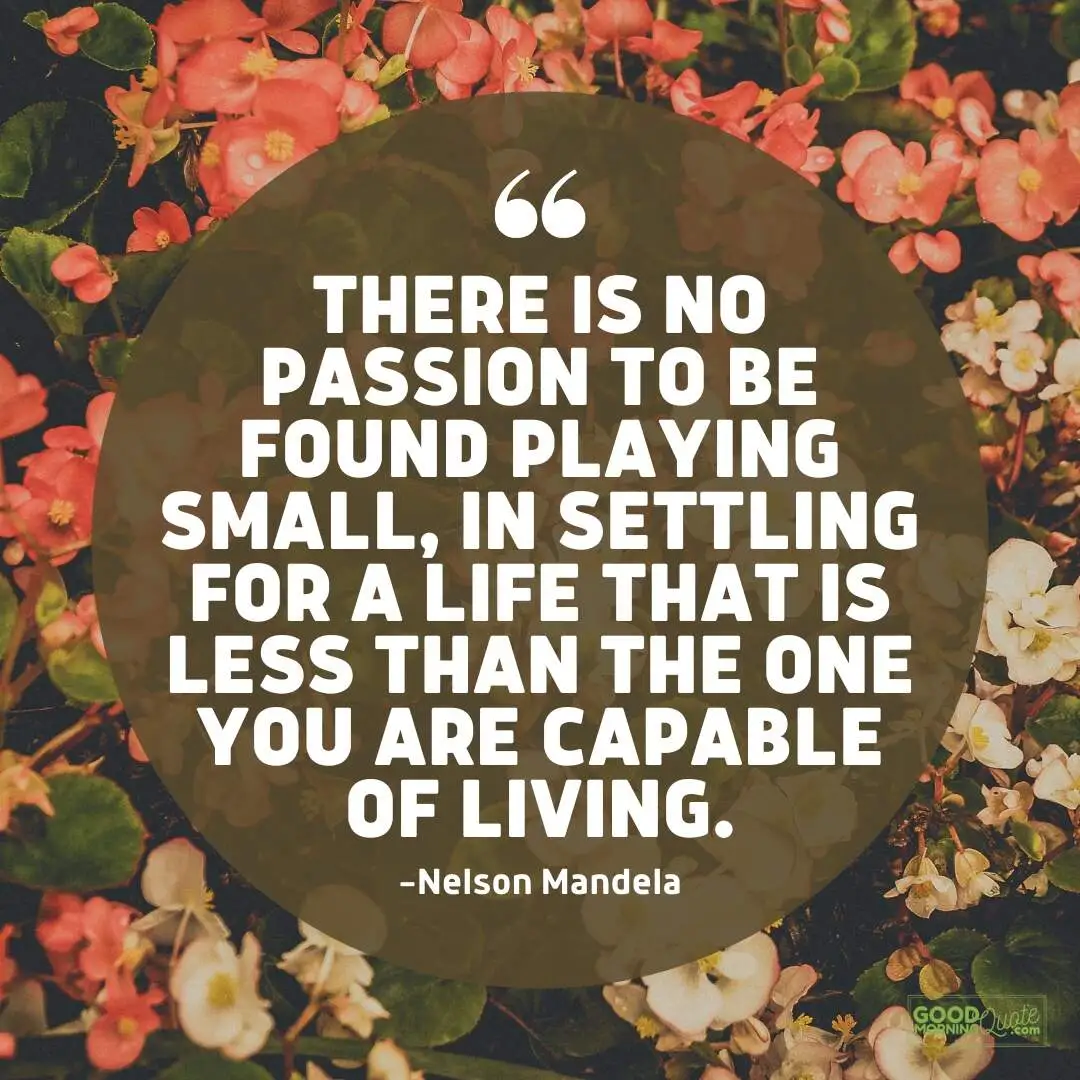 there is no passion to be found playing small - passion quote