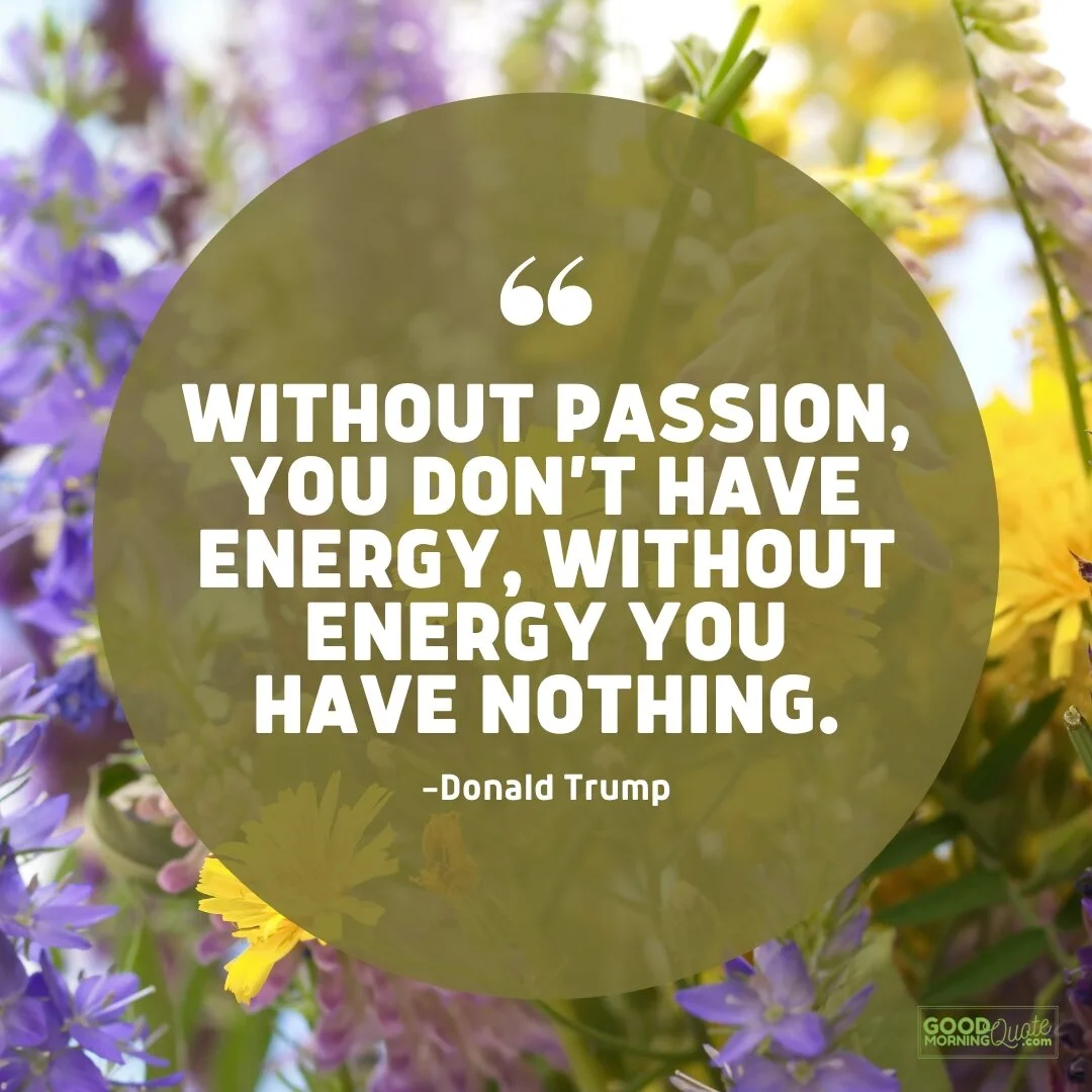 without passion you don't have energy - passion quote