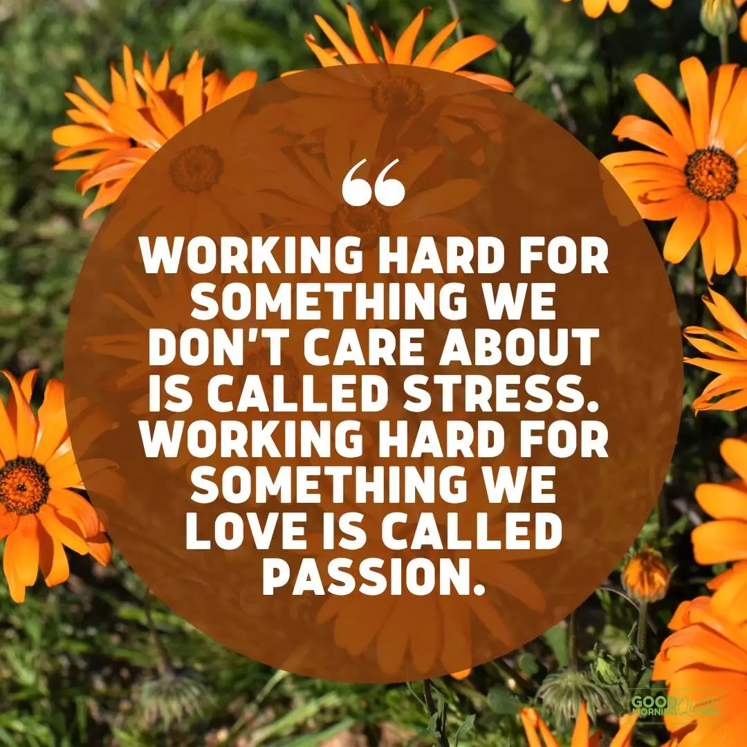 working hard for something we love - passion quote