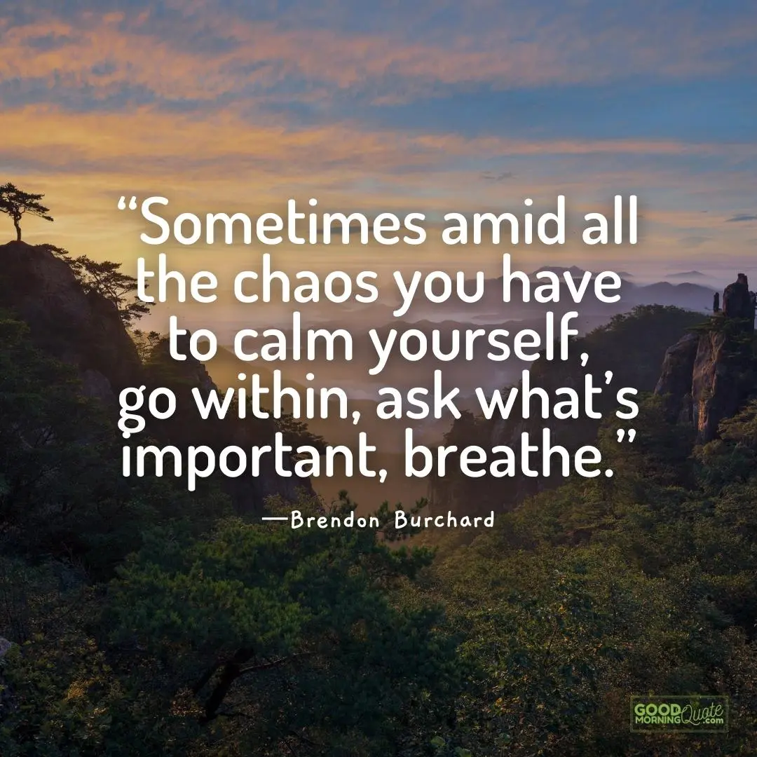 you have to calm yourself - 